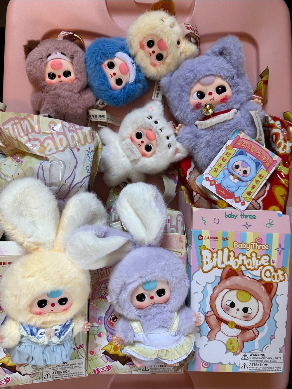 baby three bundle tiny rabbit billionaire cat